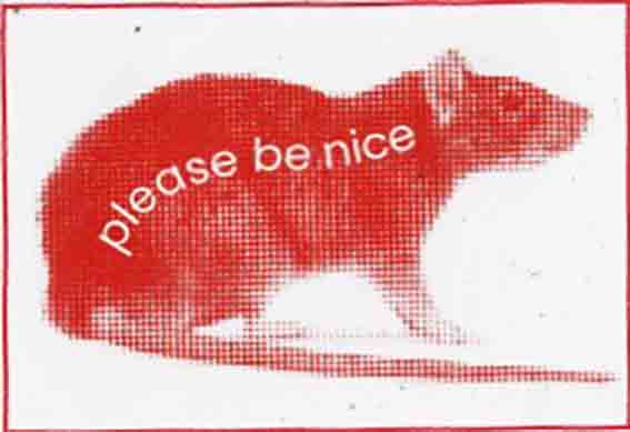 rat says please be nice